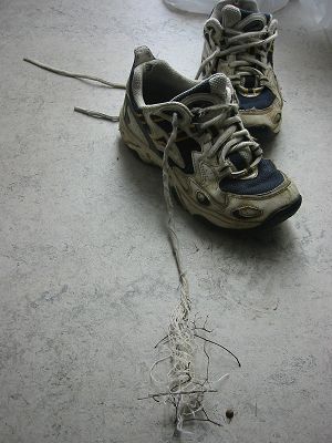 nathans%20wild%20shoelace.jpg  