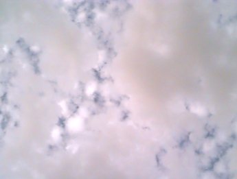 cloudskin.jpg  