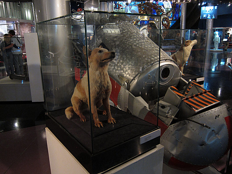 16_Belka_and_Strelka_in_the_Cosmonaut_Museum.jpg  