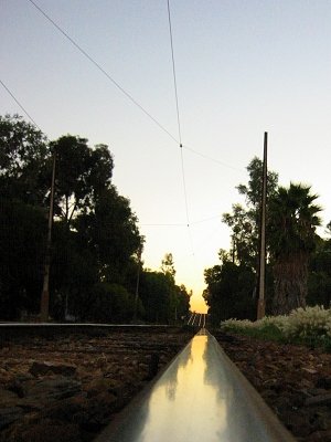 tramtrack.jpg  