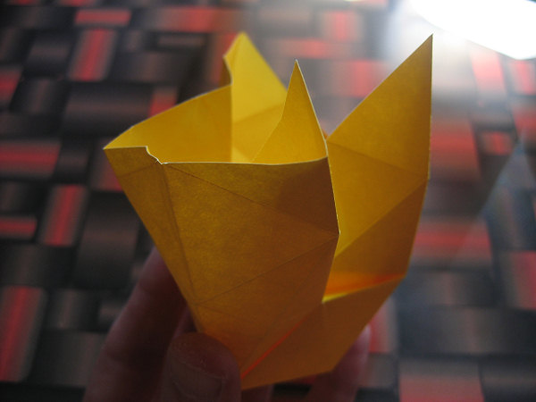 A Plethora of Polyhedra in Origami - KsiД…Ејki