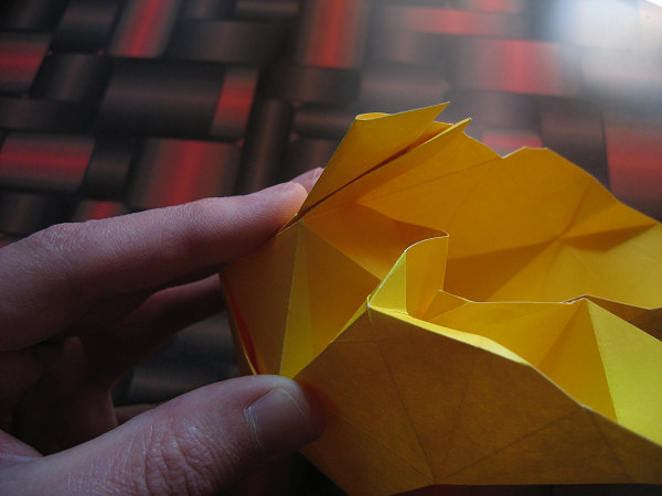 icosahedron_wrap_around_the_dark_paper_004.jpg  