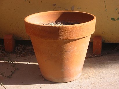 summer%20terracotta%20(189-8968).jpg  